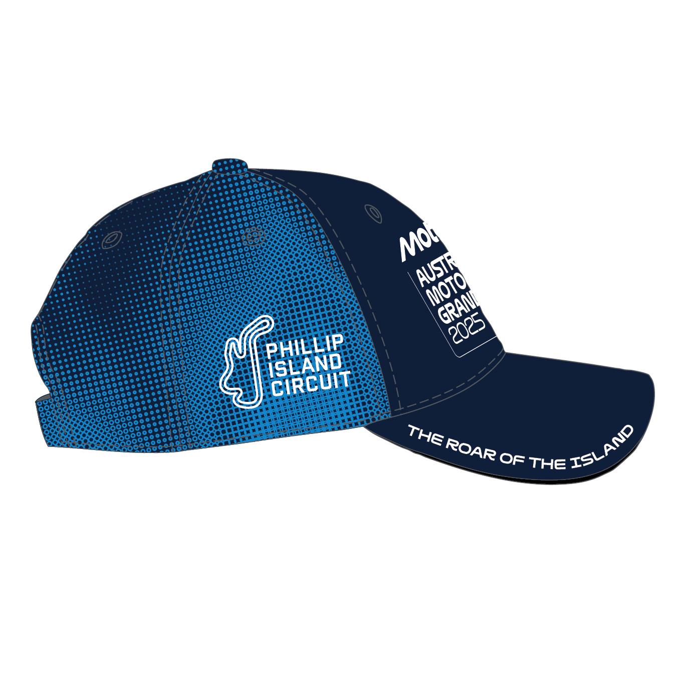 2025 BLUR CAP [nvy]